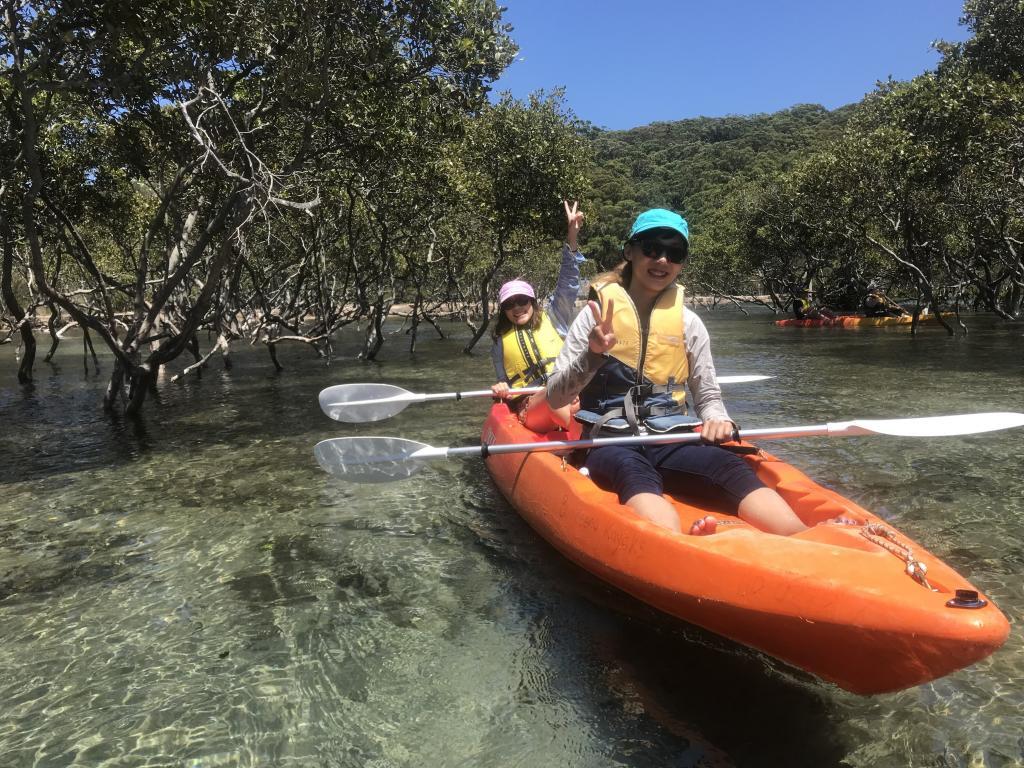 exploring the mangroves at Cabbage Tree basin in kayaks on a kayaking tour