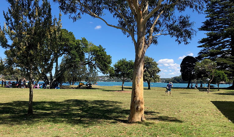 bonnie vale picnic area