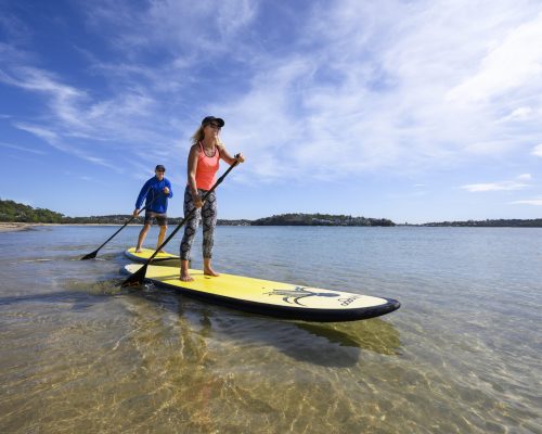 paddle board hire